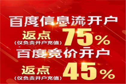 某企业通过SEO和SEM双管齐下实现业绩飞跃的案例